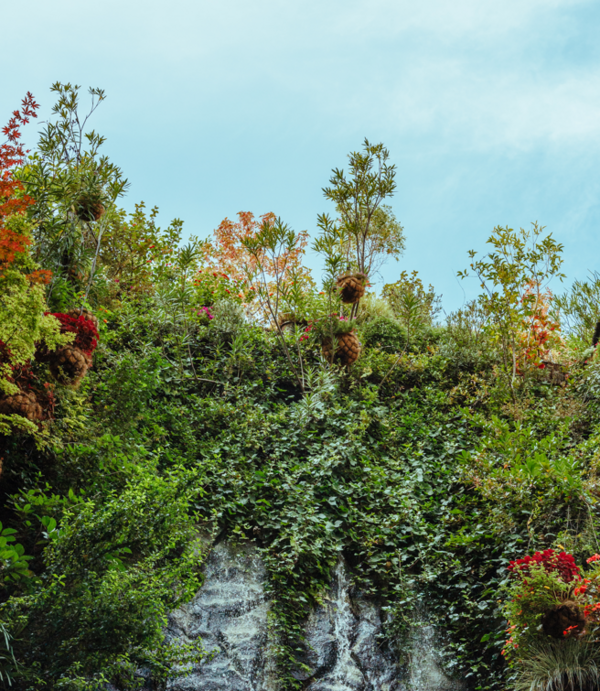 Inhala Jardín vertical con cielo